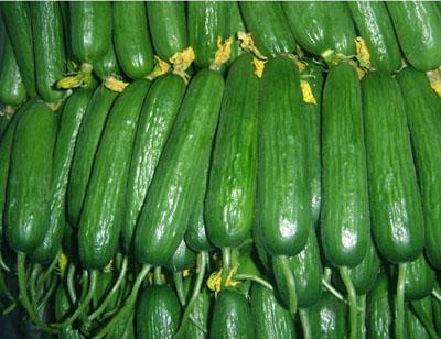 ���r��(y��u)�|(zh��)�ձ�С�S��